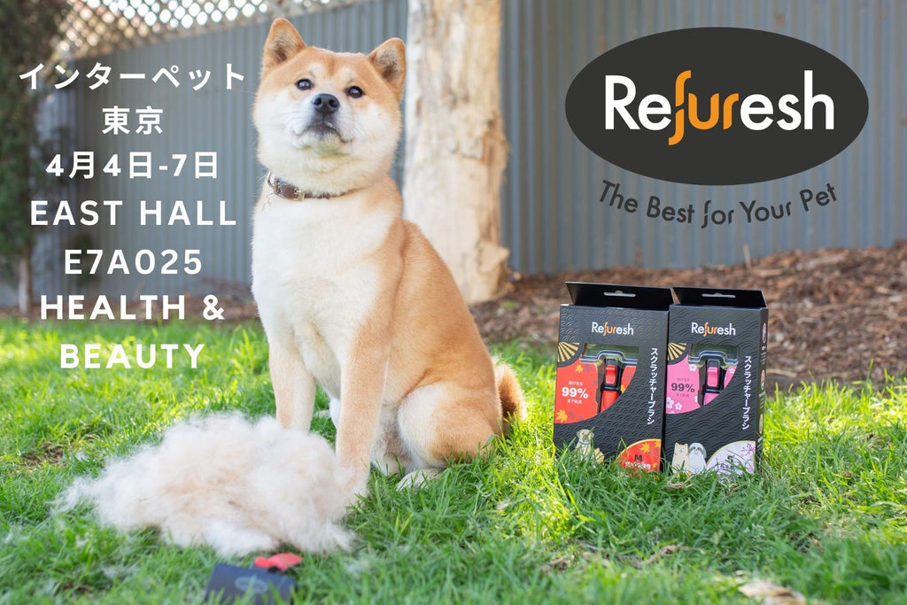 第13回インターペット東京 出展