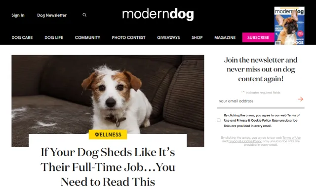 北米の犬専門メディア「Modern Dog」のRefuresh特集記事