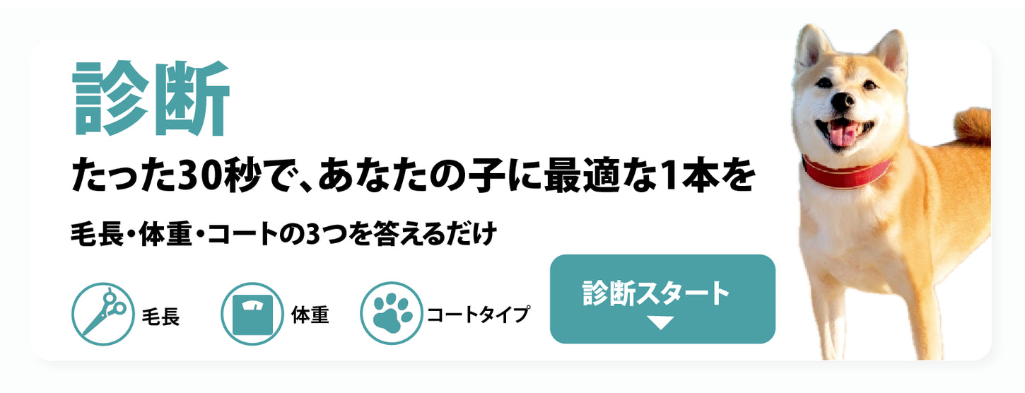 リファーレッシュブラシ 診断
