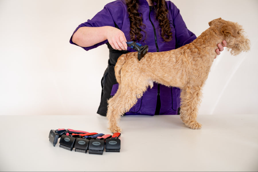 Georgia Mackinly(オーストラリア)