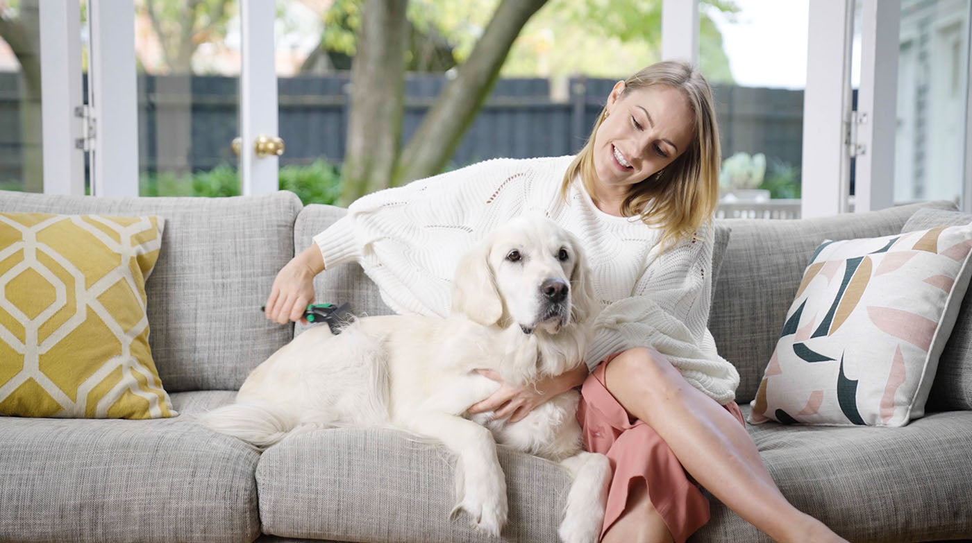 リファーレッシュブラシを愛犬に使う女性